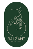Sellerie Balzane - Revendeur Officiel KS